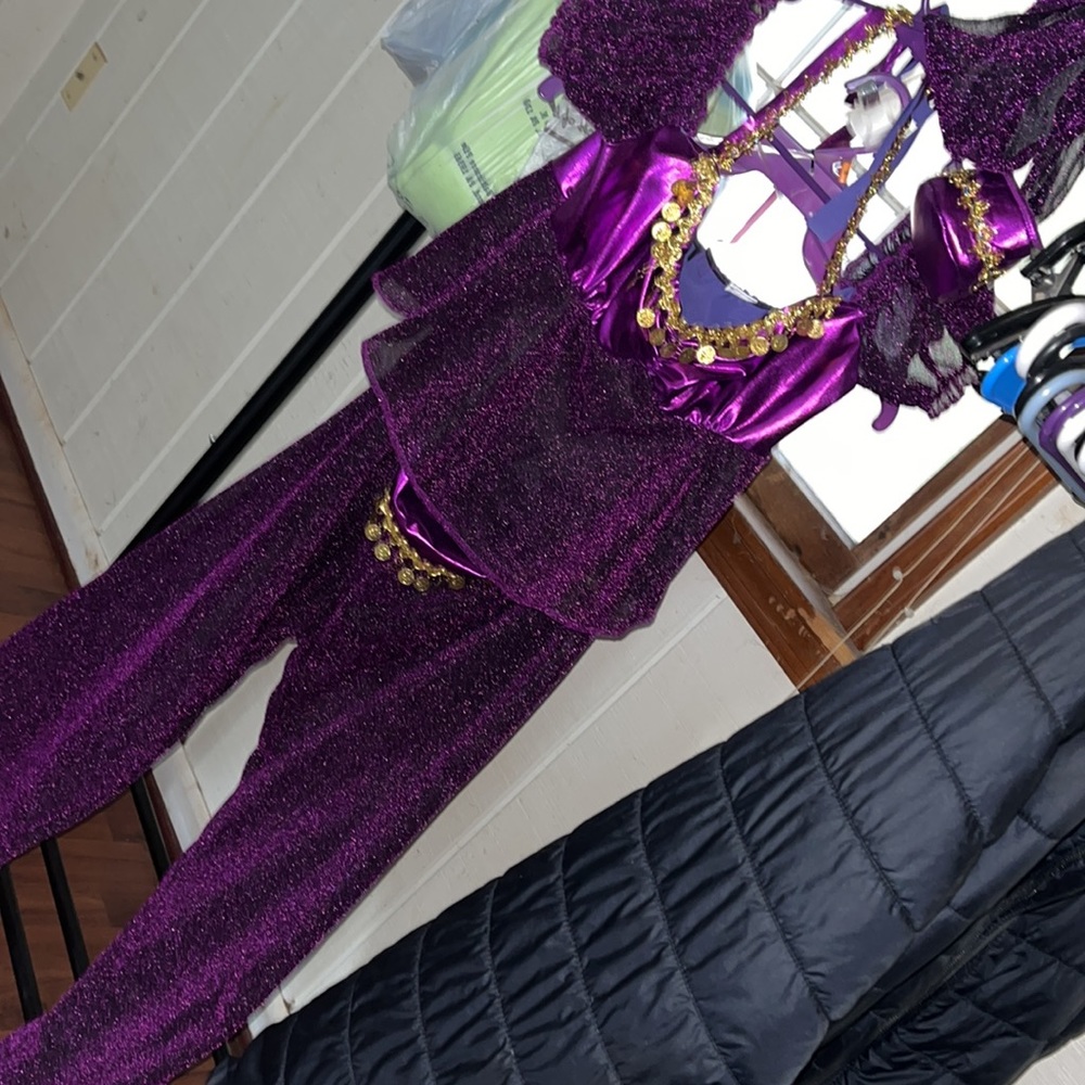 Purple Women's Costume with Gold Accents